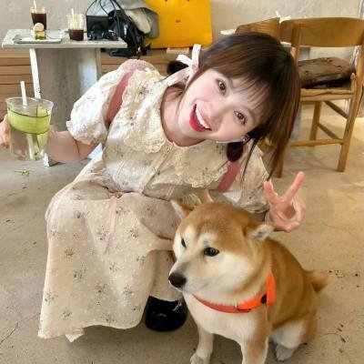 猛犸复活